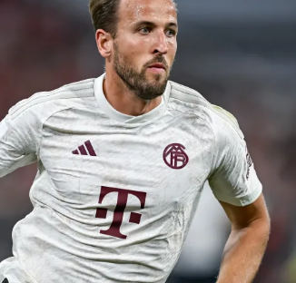 口的训练安 口的训练安